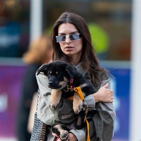 emrata dog|emily ratajkowski jimmy.